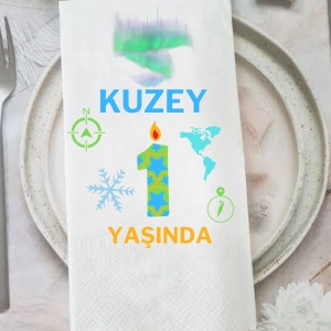 Baskılı Peçete Doğum Günü Kutlama Temalı Çocuk Bir Yaş Peçetesi 20 adet